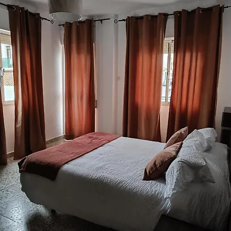 Anca Salvador *